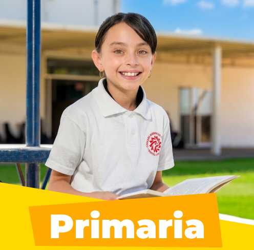 primaria_altum