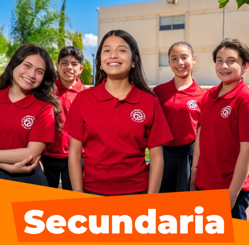 secundaria_altum