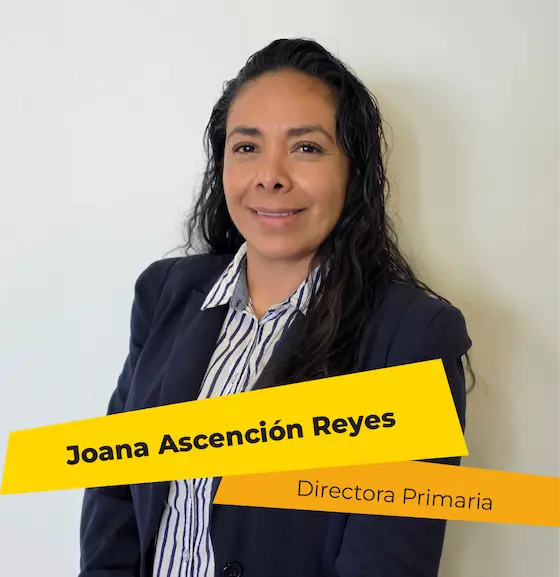 primaria director